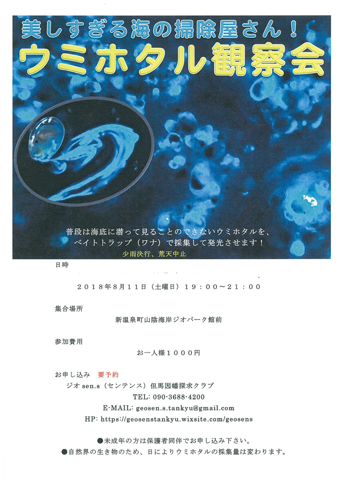 ◆美しすぎる海の掃除屋さん　うみほたる観察会　8月11日（土）19：00～21：00