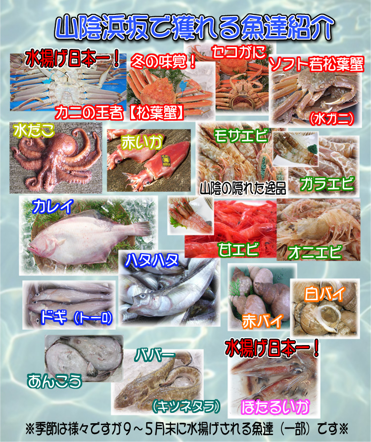 9～5月末に水揚げされる魚達(^-^*)ヨロシク♪