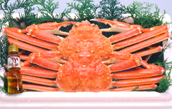釜ゆでずわいがに　約650～750g(2枚入･かに酢1本付)