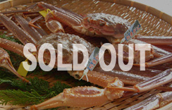 地物（生）松葉蟹（松葉がに）　1枚・2～3枚