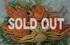 地物（ゆで）セコがに（親がに）５～６枚