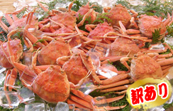 【訳あり】地物（解凍）ゆでセコがに（親がに）　中サイズ　５枚　かに酢付