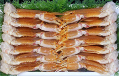 (生)ずわいがに足だけ　5kg 5Lｻｲｽﾞ 約11～13肩