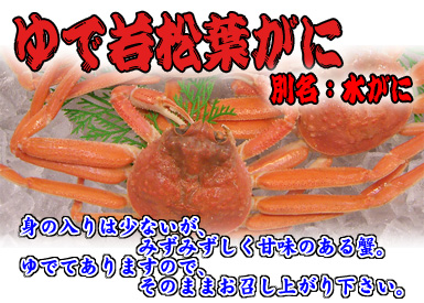 【地物（ゆで）若松葉がに（水がに）】身の入りは少ないが、みずみずしく甘味のある蟹。ゆでてありますのでそのままお召し上がり下さい。