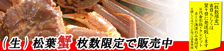 【訳あり】生松葉がに販売中です　■□■　25/04/01更新しました（在庫限り）　□■□