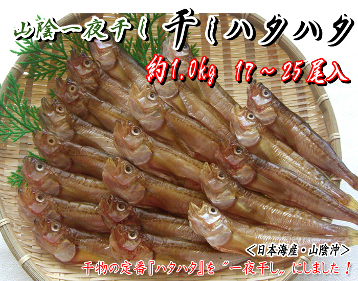一夜干しハタハタ　約1.0kg＜日本海産・山陰沖＞