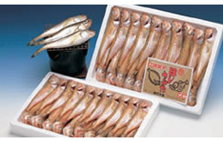 一夜干しハタハタ　約1.0kg　約17～25尾