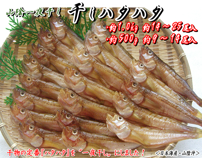 一夜干しハタハタ　約1.0kg・約500g＜日本海産・山陰沖＞