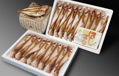 一夜干しハタハタ　約500g・約1.0kg