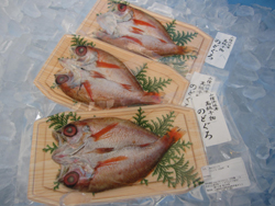 山陰浜坂港発!マル海特製　高級干物　のどぐろ(真空パック)1枚ｘ３Ｐ　送料無料！