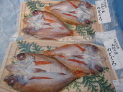 山陰浜坂港発!マル海特製　高級干物　のどぐろ(真空パック)２枚ｘ２Ｐ　送料無料！