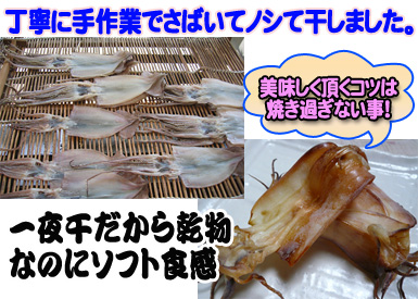 【一夜干しスルメ】　丁寧に手作業でさばいて、ノシて、干しました。　一夜干しだから乾物なのにソフトな食感！