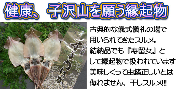 【一夜干しスルメ】　〝健康、子沢山を願う縁起物〟　古典的な儀式儀礼の場で用いられてきたスルメ。結納品でも『寿留女』として縁起物で扱われています。美味しくって由緒正しい干しスルメ！