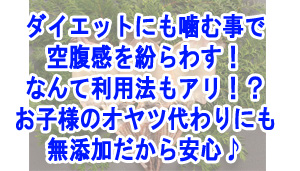 【一夜干しスルメ】　ダイエットにも噛む事で空腹感を紛らわす！なんて利用法もアリ！？　お子様のオヤツ代わりにも無添加だから安心♪