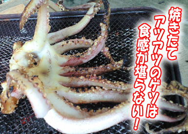 【一夜干しスルメ】　焼きたてアツアツのゲソは食感が堪らない！