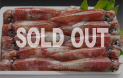 お刺身用″冷凍〟白いか