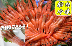 お刺身用 船凍甘えび (大) 約500g 約30～40尾