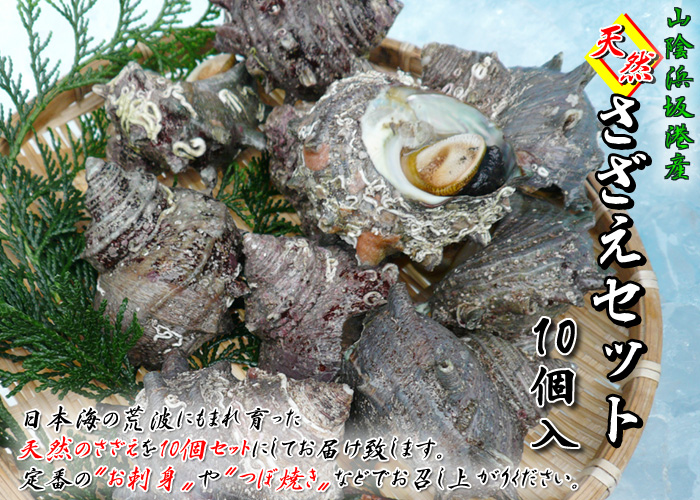 山陰浜坂港産＜天然＞さざえセット