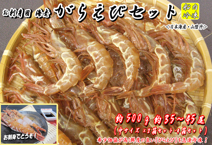 [船内冷凍]がらえび　中サイズ　約35～45尾（約500g）＜日本海産・山陰沖＞