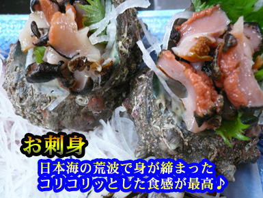 ＜お刺身＞　日本海の荒波で身が締まったコリコリッとした食感が最高♪