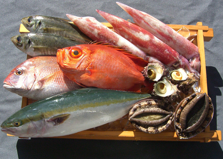 おまかせ鮮魚福袋【定番・特上・極上】