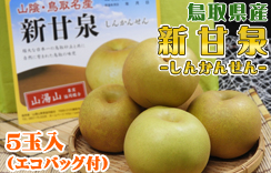 鳥取県産　新甘泉　5玉入（エコバッグ付）