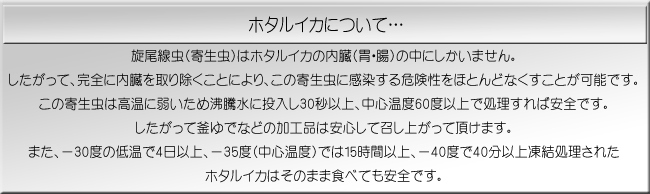 ホタルイカについて・・・