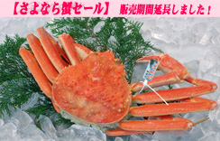 (ゆで)松葉蟹（松葉がに）　1枚入
