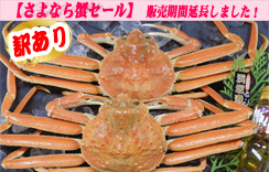 【訳あり】（ゆで）若松葉がに（水がに）＜中サイズ＞5枚入