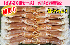 (生)ずわいがに足だけ　5kg　5L　約10～12肩