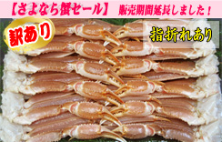 【訳あり】(生)ずわいがに足だけ　5kg　5Lサイズ　約12肩　（指折れあり）
