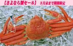 (ゆで)松葉蟹（松葉がに）　1枚入
