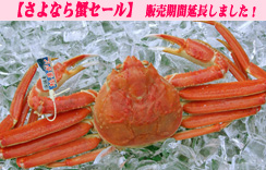 ゆで松葉がに[冷凍解凍]　約800g 1枚入 かに酢付
