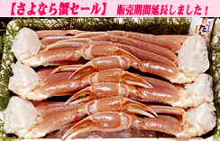 かにすきセット　約1.1kg　6肩Lサイズ　だし1個付