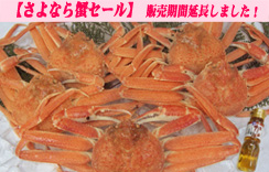 地物（ゆで）若松葉がに（水がに）10枚入