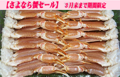 (生)ずわいがに足だけ　5kg　5Lサイズ　約12肩