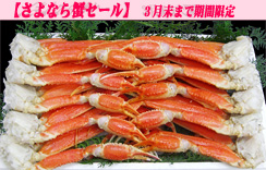 (ゆで)ずわいがに足だけ 8肩入　Mｻｲｽﾞ　かに酢1本付