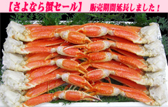 (ゆで)ずわいがに足だけ 8肩入　Mｻｲｽﾞ　かに酢1本付