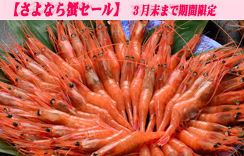 お刺身用海老　船内冷凍甘えび
