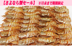 お刺身用海老　船内冷凍がらえび