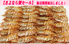 お刺身用海老　船内冷凍がらえび