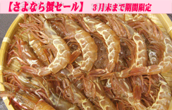 お刺身用海老　船内冷凍がらえび