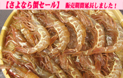 お刺身用 船凍がらえび　(小) 約500g ×4箱ｾｯﾄ