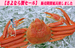 (ゆで)松葉蟹（松葉がに）　1枚入