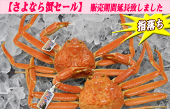 (ゆで)松葉蟹（松葉がに）≪指落ち≫　2枚入