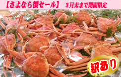 (ゆで)セコがに（子持ちがに）中サイズ　5枚入　かに酢1本付