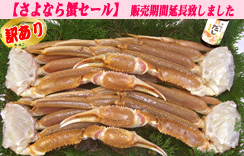 【訳あり】（生）ずわいがに足だけ　4肩入り　5Lｻｲｽﾞ　ﾀﾞｼ1個付