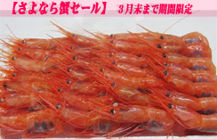 お刺身用海老　船内冷凍甘えび