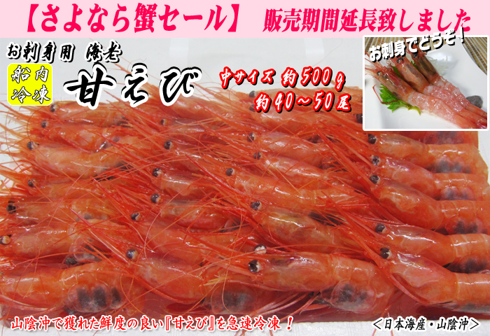 甘えび（船内冷凍）＜日本海産・山陰沖＞中サイズ　約500g