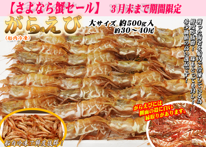[船内冷凍]がらえび　大サイズ　約30～40尾（約500g）＜日本海産・山陰沖＞
